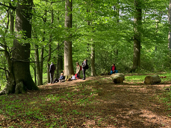 Workshop-Gruppe am Waldrand